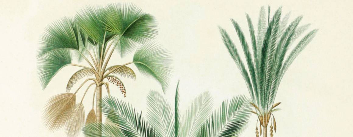 Summer Sale 2026 Additional Items -Header