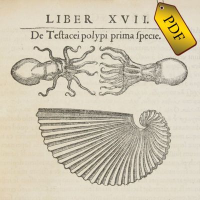 PDF Version Malacology List 17 - thumbnail