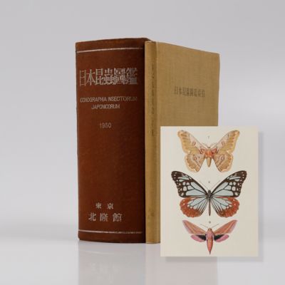 Iconographia insectorum Japonicorum. Editio secunda, reformata. [AND] Index.
