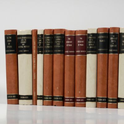 A complete collection of the books written by Charles Darwin in the uniform Brussels facsimile reprint edition.