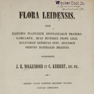 Flora Leidensis, sive elenchus plantarum spontanearum phanerogamicarum, quae hucusque prope Lugd. Batavorum repertae sunt, secumdum ordines naturales digestus.