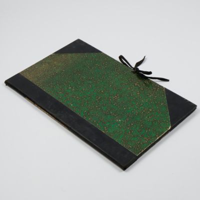 image for Recueil de figures des vers intestinaux. Ouvrage, présentant une distribution méthodique des ces animaux, les caractères généraux et particuliers de leurs familles et de leurs genres, principalement suivant le système de Mr. le professeur C. A. Rudolphi et la description de quelques espèces les plus remarquables.