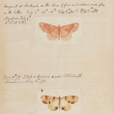 A Manual of British Butterflies and Moths. Volumes I-II. [Complete].