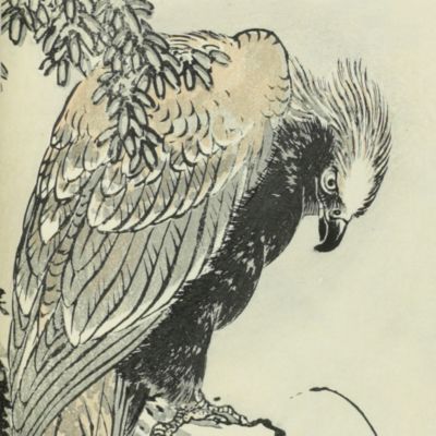 Bairei hyakucho gafu. Bairei's Album of one hundred birds.