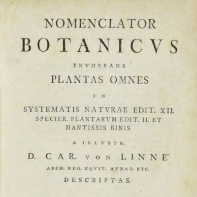 Nomenclator botanicus enumerans plantas omnes in Systematis Naturae edit. XII. Specier. plantarum edit. II. et mantissis binis a illustr. D. Car. von Linné arch. reg. equit. aurat. etc. descriptas.