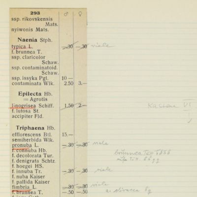 Manuscript based on Staudinger's printed list of Palaearctic Lepidoptera.