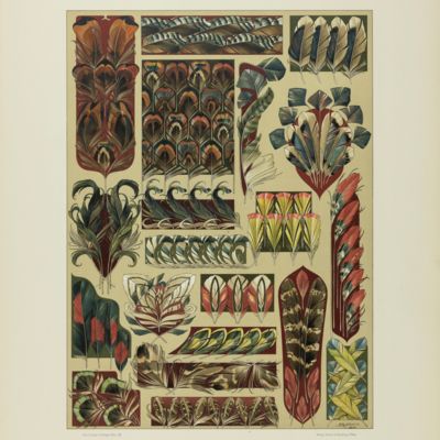 Das Thier in der decorativen Kunst. Plate 20 [Feathers]