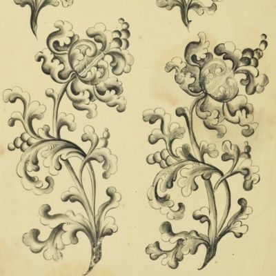 image for [18th-century floral design].