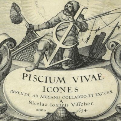 image for Piscium vivae icones. Inventae ab Adriano Collardo et excusae a Nicolao Ioannis Visscher.