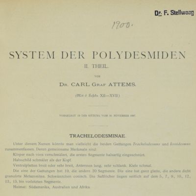 System der Polydesmiden. I Theil - II Theil. [Bound copies; complete].