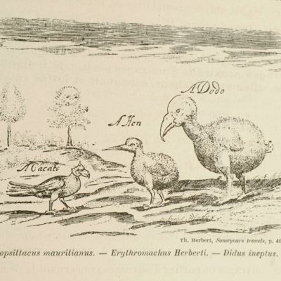 Titres et travaux scientifiques de M. Guillaume Grandidier.