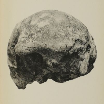 <em>Homo ( <em>Javanthropus</em>) <em>soloensis</em>, n. subg. n. sp. Eene Plistoceene Mensch van Java. Voorlopige Mededeeling.</em>