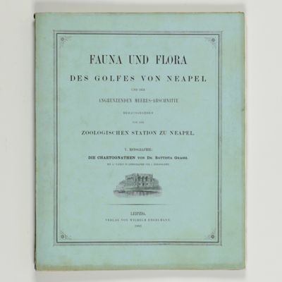 Fauna und Flora des Golfes von Neapel und der angrenzenden Meeres-Abschnitte herausgegeben von der zoologischen Station zu Neapel. V. Monographie: Die Chaetognaten.