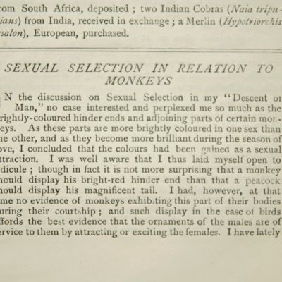 Sexual selection in relation to monkeys.