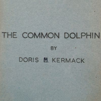 Report of investigations made into the anatomy and physiology of the common dolphin from April 26th to September 16th 1948.