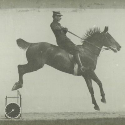 image for Physiologie des mouvement. Four original photographs of a jumping military horse.