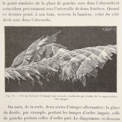 Physiologie des mouvement. Le vol des oiseaux. Avec 1 planche et 164 figures dans le texte.