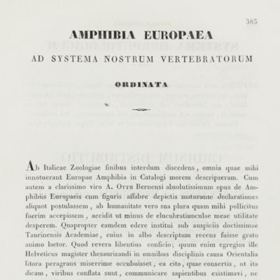 image for Amphibia Europaea ad systema nostrum vertebratorum ordinata.