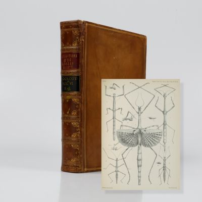 The Transactions of the Linnean Society of London. Second series. Zoology. Volume VI. [Crustacea].