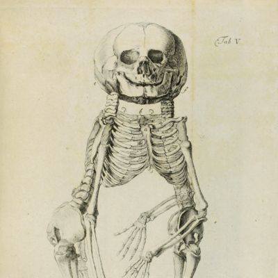 Programma quo anatomicam monstri bicorporei monocephali descriptionem proponit nec non sectiones, et demonstrationes suas anatomicas.