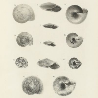 image for Zoological results of the Abor Expedition, 1911-12.
