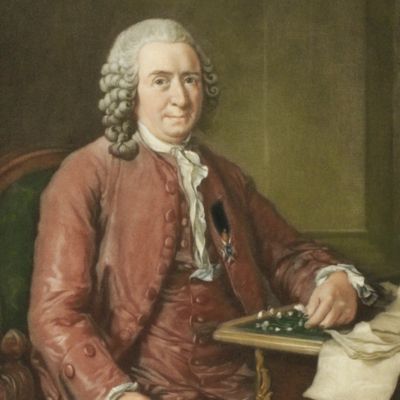 Linnaeus, seated, with flowers [Portrait]