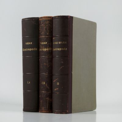 Handbuch der Paläozoologie Band 6, 1(1-2) - 2. Gastropoda.