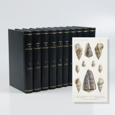 Journal de Conchyliologie. Volumes 1-10 (1st series; 2nd series; AND 3rd series, Volumes 1-2).