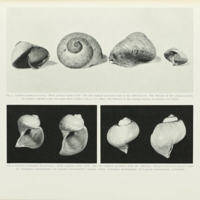 The Carlsberg's Foundation's Oceanographical Expedition Round the World 1928-30 and Previous "Dana" Expeditions. [Introduction and Mollusca].