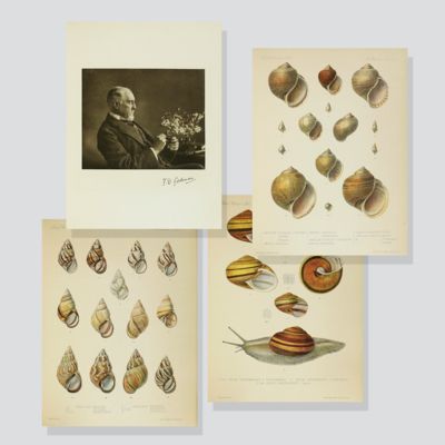 image for Biologia Centrali-Americana. Land and freshwater Mollusca. [AND] Introductory Volume.