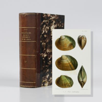 Mollusques nouveaux, litigieux ou peu connus. Centuries 1-12. [All Published].