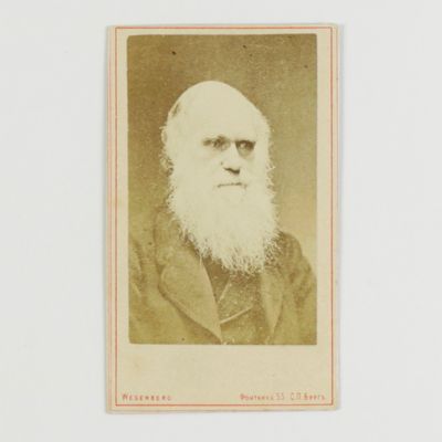 Portrait of Darwin - Rare Russian carte de visite.