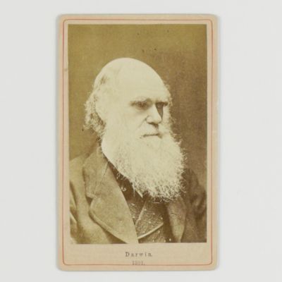 image for Portrait of Darwin - Rare carte de visite.