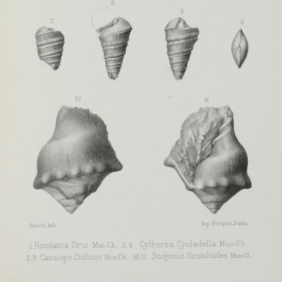image for Extraits de la Mission de M. le Commandant Roudaire dans les Chotts Tunisiens (1878-1879). I. hydrologie, géologie et paléontologie. II. Paléontologie. Description des espèces nouvelles.