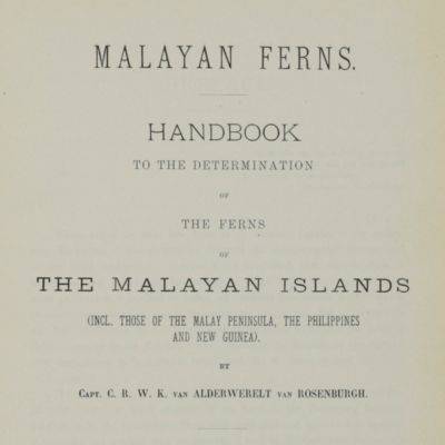 Malayan Ferns. Handbook to the determination of the ferns of the Malayan Islands (incl. those of the Malay Peninsula, the Philippines and New Guinea).  [AND] (Correcting sheet).