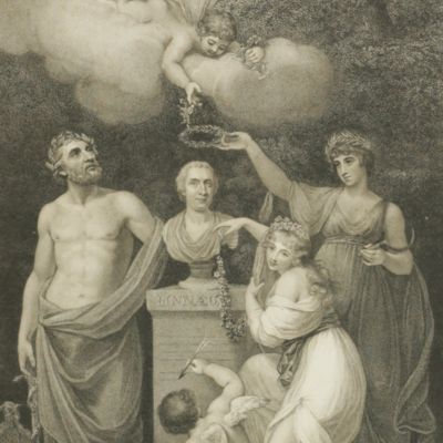 image for Cupid, Flora, Ceres, and Esculapius, Honouring the bust of Linnaeus.