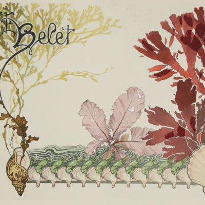 La végétation sous-marine. Algues & goëmons. Applications décoratives. 24 planches en couleurs. Avec notice et classification.