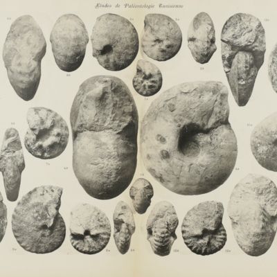 image for Études de paléontologie Tunisienne - I - Céphalopodes des terrains secondaires. Texte  - Atlas. [Complete].