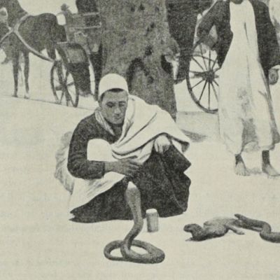 Histoires de serpents dans l'Égypte ancienne et moderne.