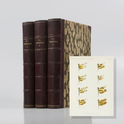 image for Collections Zoologiques du Baron Edm. de Selys Longchamps. Catalogue systématique et descriptif. Libellulinen. [Fasc. IX-XVI(1-2)]. [Complete].