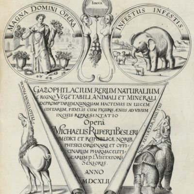 image for Gazophylacium rerum naturalium e regno vegetabili, animali et minerali depromptarum, nunquam hactenus in lucem editarum, fidelis cum figuris aeneis ad vivum incisis repraesentatio operâ Michaelis Ruperti Besleri medici et reipublicae Norib. physici ordinarii et officinarum pharmaceuticarum p.t. visitatoris senioris.