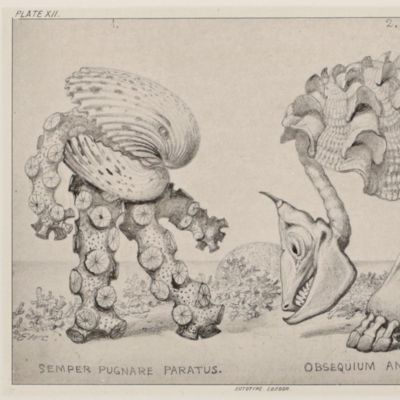 Grotesque Animals. Invented, drawn, and described.