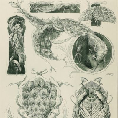 image for Das Thier in der decorativen Kunst. Plate 27 [peacocks and feathers]