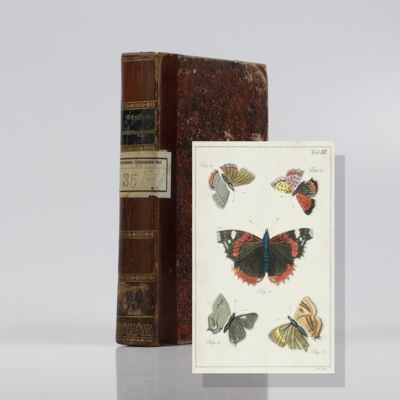 image for Schmetterlingskalender, oder systematisches Verzeichniss alle Schmetterlinge, welche in Deutschland bekannt sind.