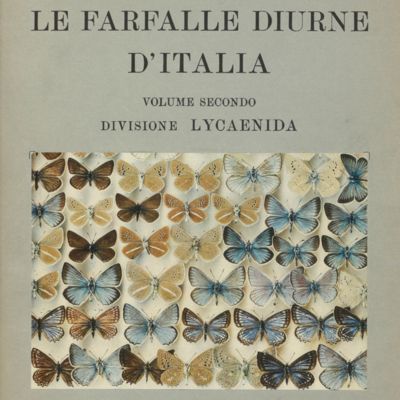 La farfalle diurne d'Italia. Volumes 1 - 4.