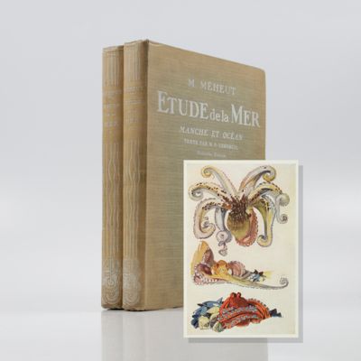 Étude de la Mer. Faune et Flore de la Manche et de l'Océan.