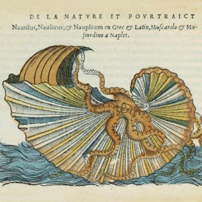 La nature et la diversité des poissons avec leurs pourtraicts, representez au plus pres du naturel.
