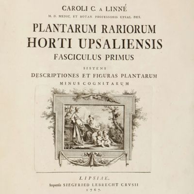 image for Plantarum rariorum Horti Upsaliensis. Fasciculus primus sistens descriptiones et figuras plantarum minus cognitarum.