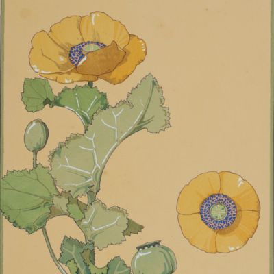 Les Fleurs et Leurs Applications Décoratives. Plate 1.