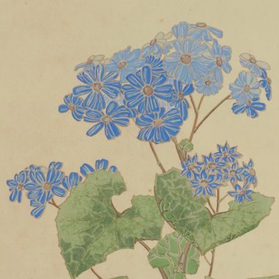 Les Fleurs et Leurs Applications Decoratives. Plate 25.